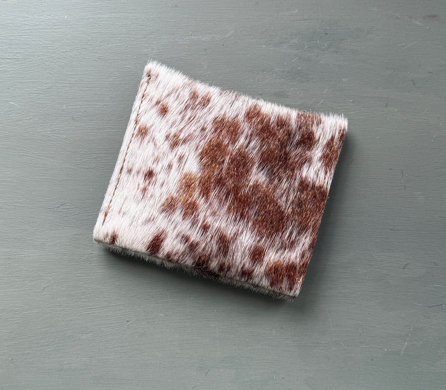 AK Hair-on Leather Pouch